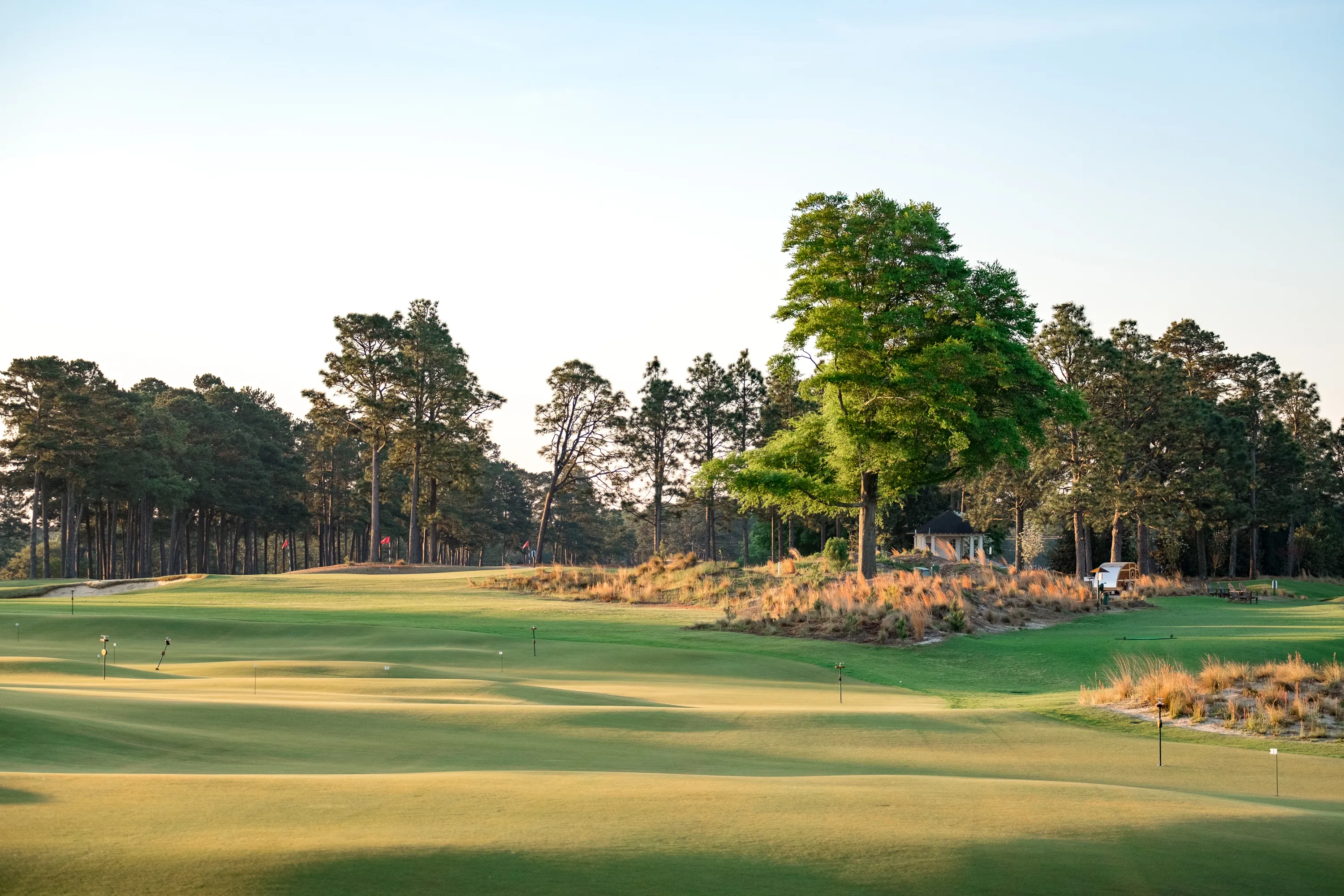 GOLF_C00H00_THISTLEDHU_BROADVIEW_TRIMARK_APRIL2020