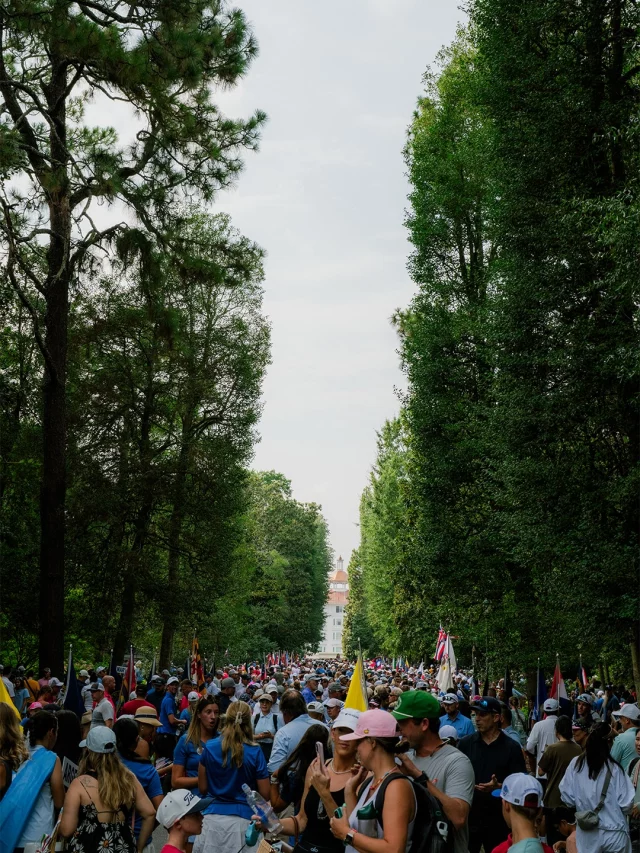 The view down Carolina Vista • U.S. Kids Parade of Nations