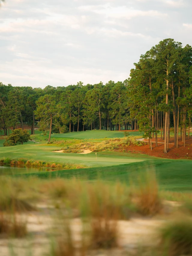 A walk around Pinehurst No. 4