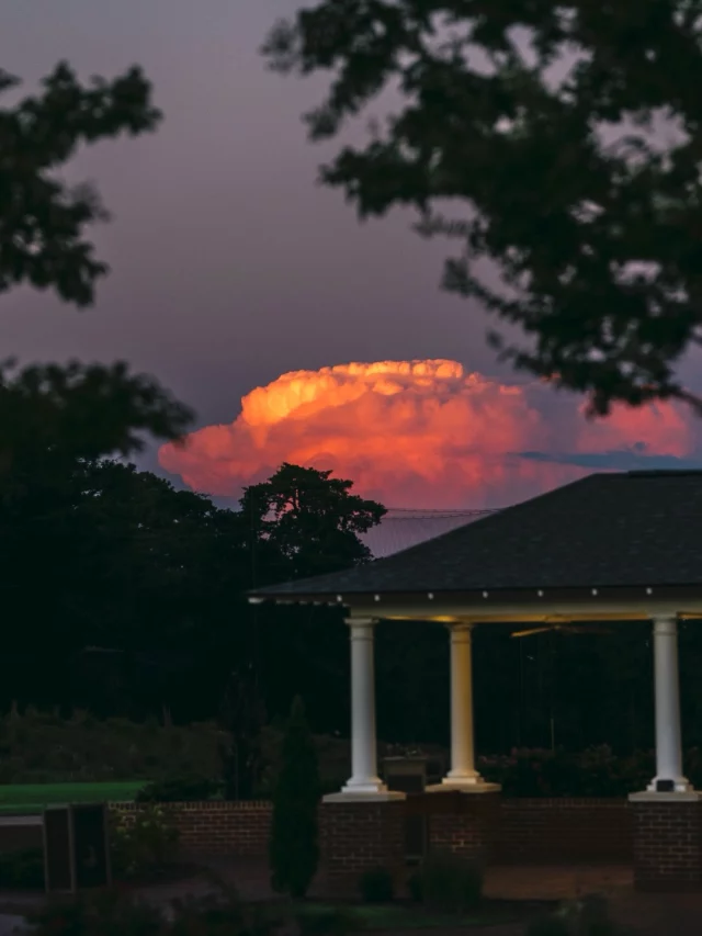 Nothing quite like blue hour in Pinehurst