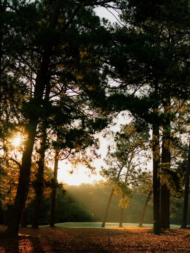 Morning light on Pinehurst No. 1